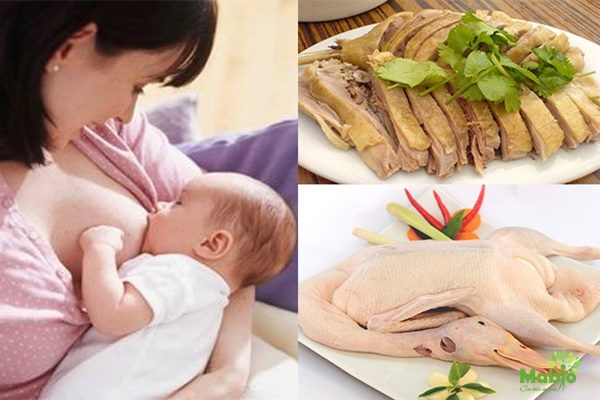 Sau khi sinh, có nên ăn thịt ngan không? Khi nào có thể ăn được?