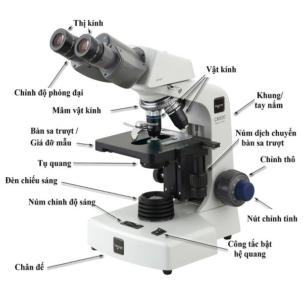 Cấu tạo và nguyên lý hoạt động kính hiển vi quang học