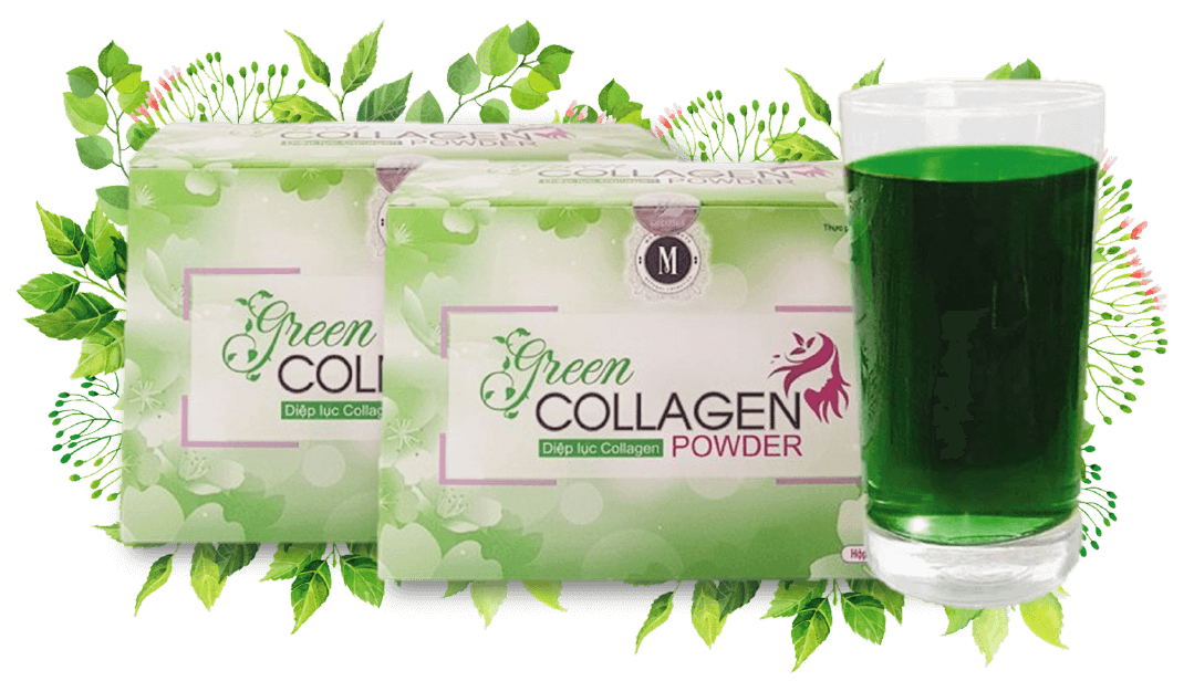 Diệp lục Collagen – Green Collagen Powder: Trợ thủ đắc lực cho sức khỏe và làn da
