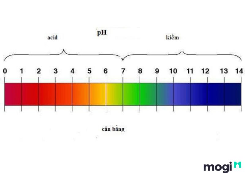 Độ pH của đất là gì và tầm quan trọng của nó