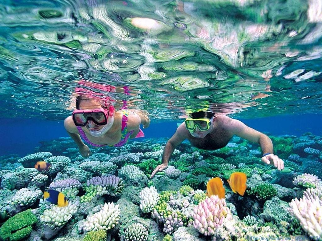 Sự khác biệt giữa Snorkeling (lặn ống thở) và Diving (lặn bình dưỡng khí)