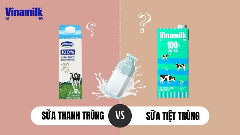 Sữa Thanh Trùng và Sữa Tiệt Trùng: Sự khác biệt và lợi ích