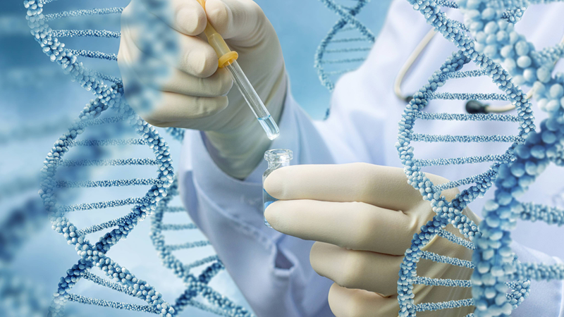 Xét nghiệm ADN bằng tóc: Tìm hiểu và những điều cần biết