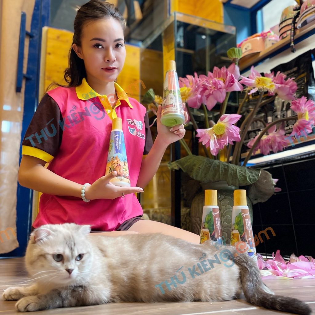 Tắm Cho Mèo Mang Thai – Cách Tắm Và Những Lưu Ý Quan Trọng