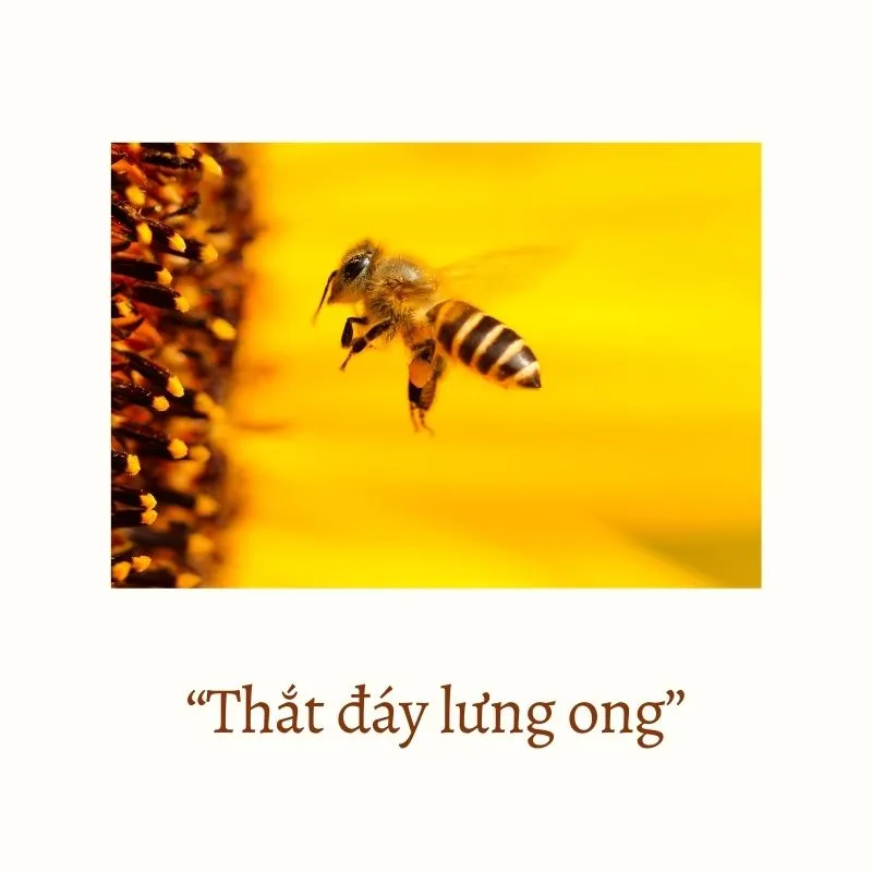 “Thắt đáy lưng ong” – Chuẩn mực vẻ đẹp của người phụ nữ